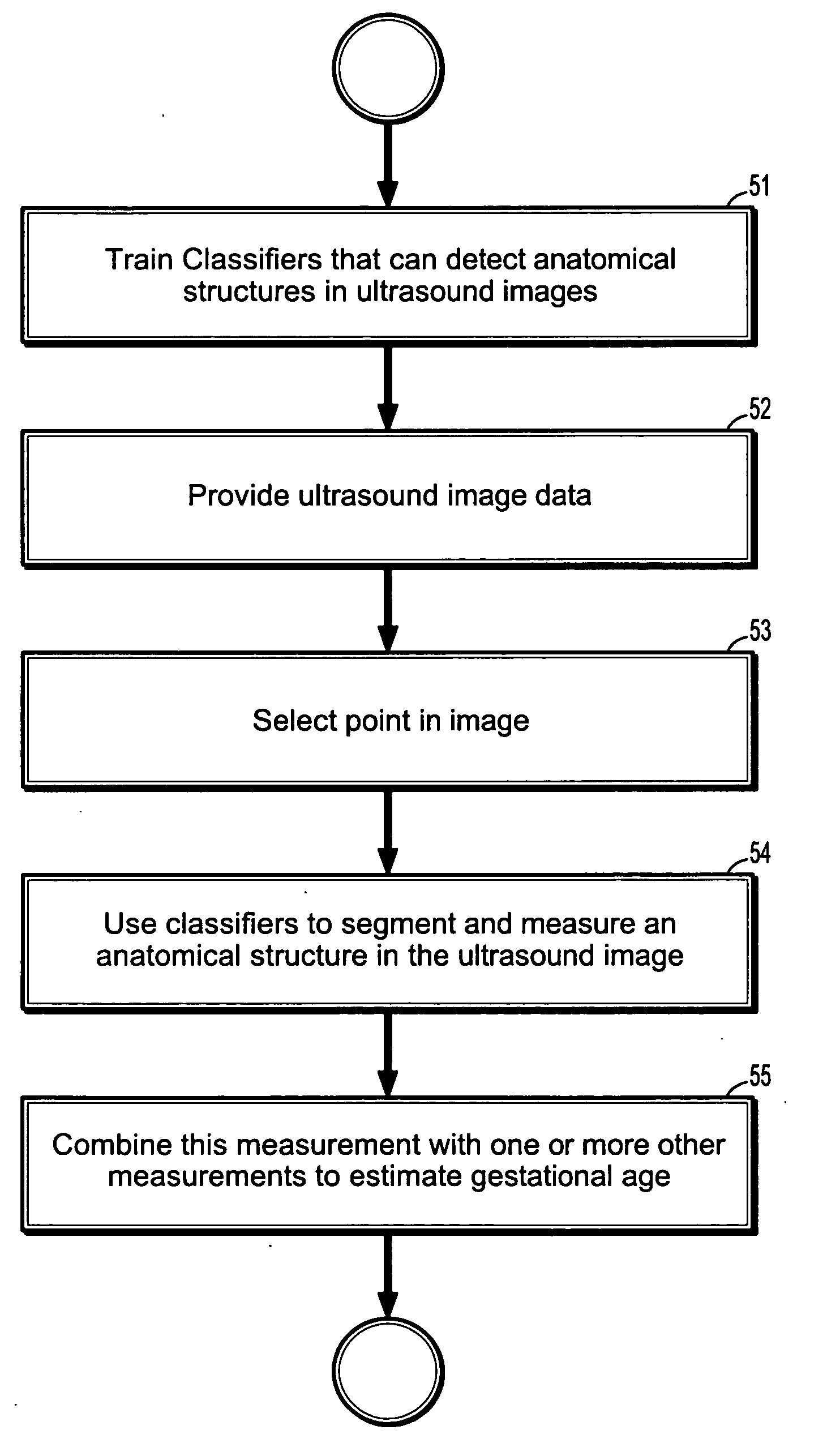 System and method for fetal biometric measurements from ultrasound data and fusion of same for estimation of fetal gestational age
