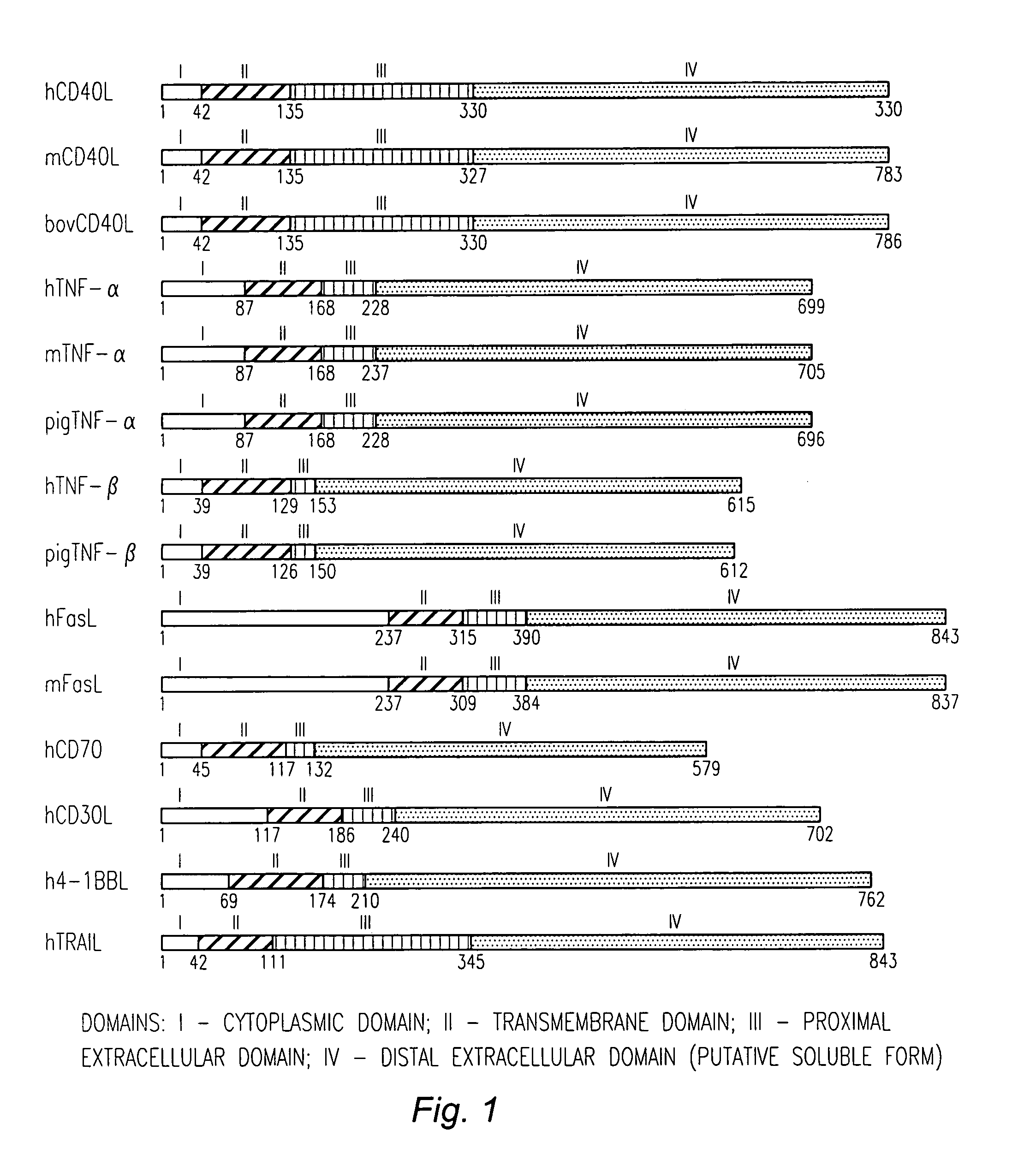 Nucleic acid molecules encoding TNF-α ligand polypeptides having a CD154 domain