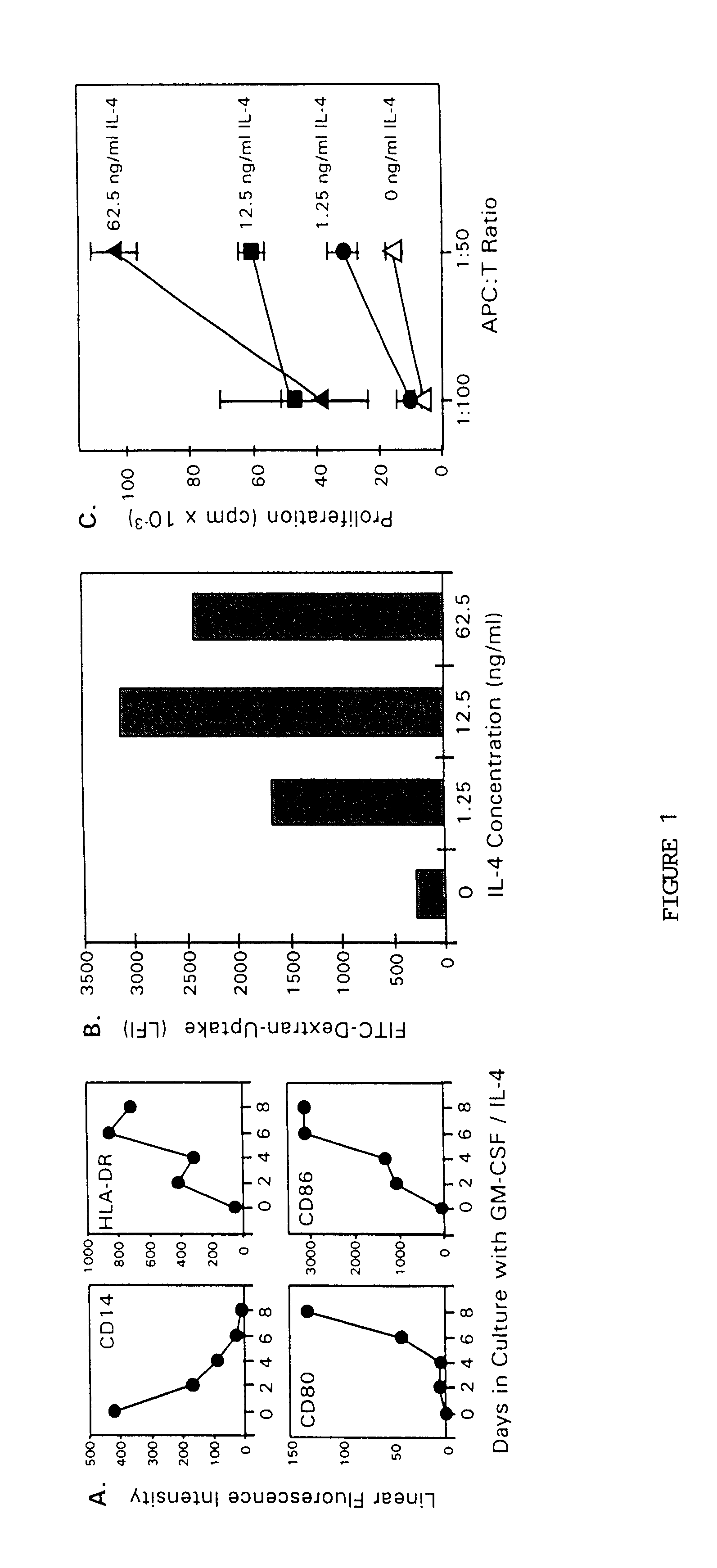 Methods for enhancing antigen-presenting cells and anti-tumor responses in a human patient