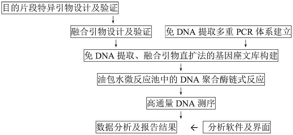 High-throughput multi-site human short fragment tandem repeat sequence detection kit as well as preparation and application thereof