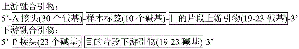 High-throughput multi-site human short fragment tandem repeat sequence detection kit as well as preparation and application thereof