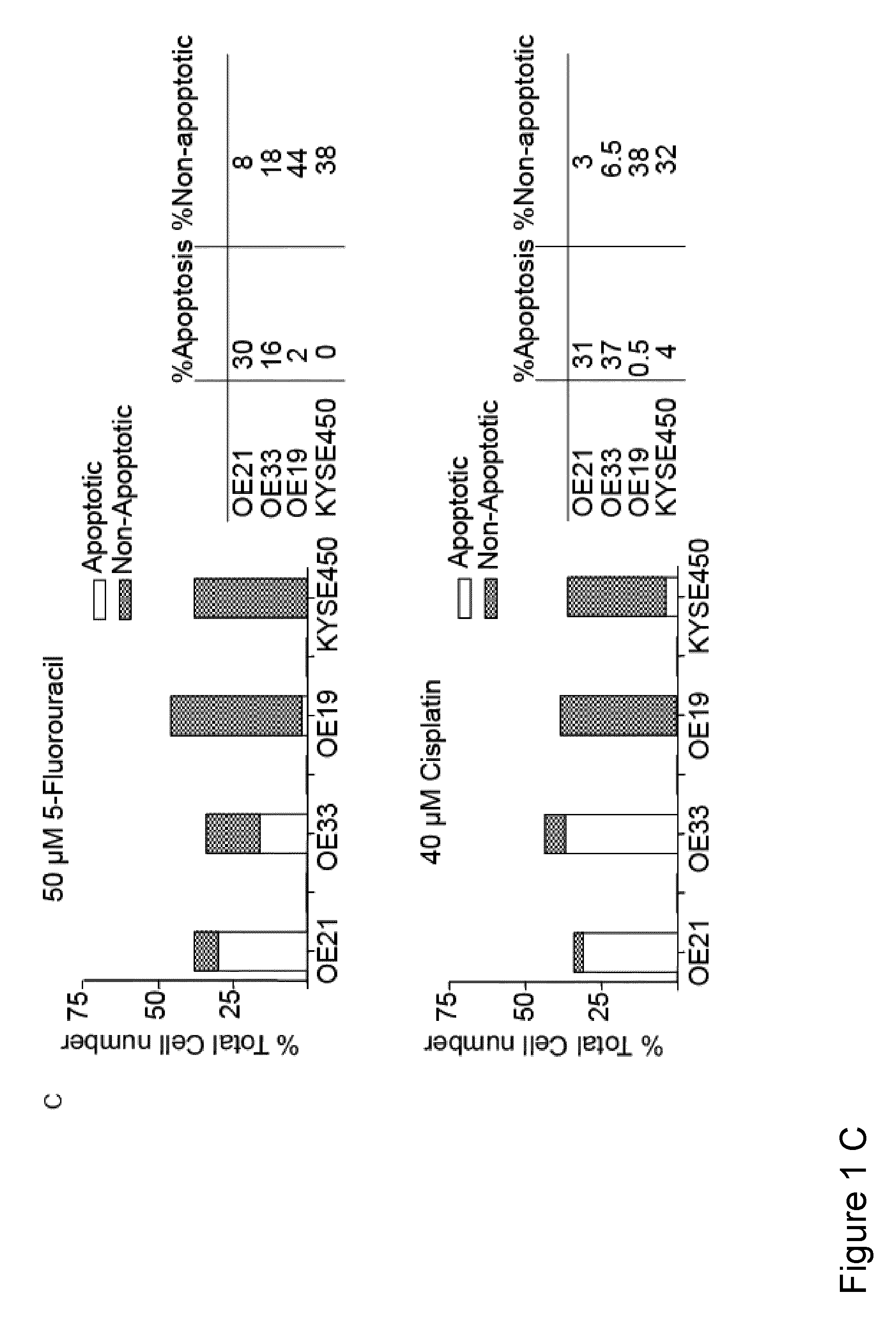 Method for the treatment of cancer
