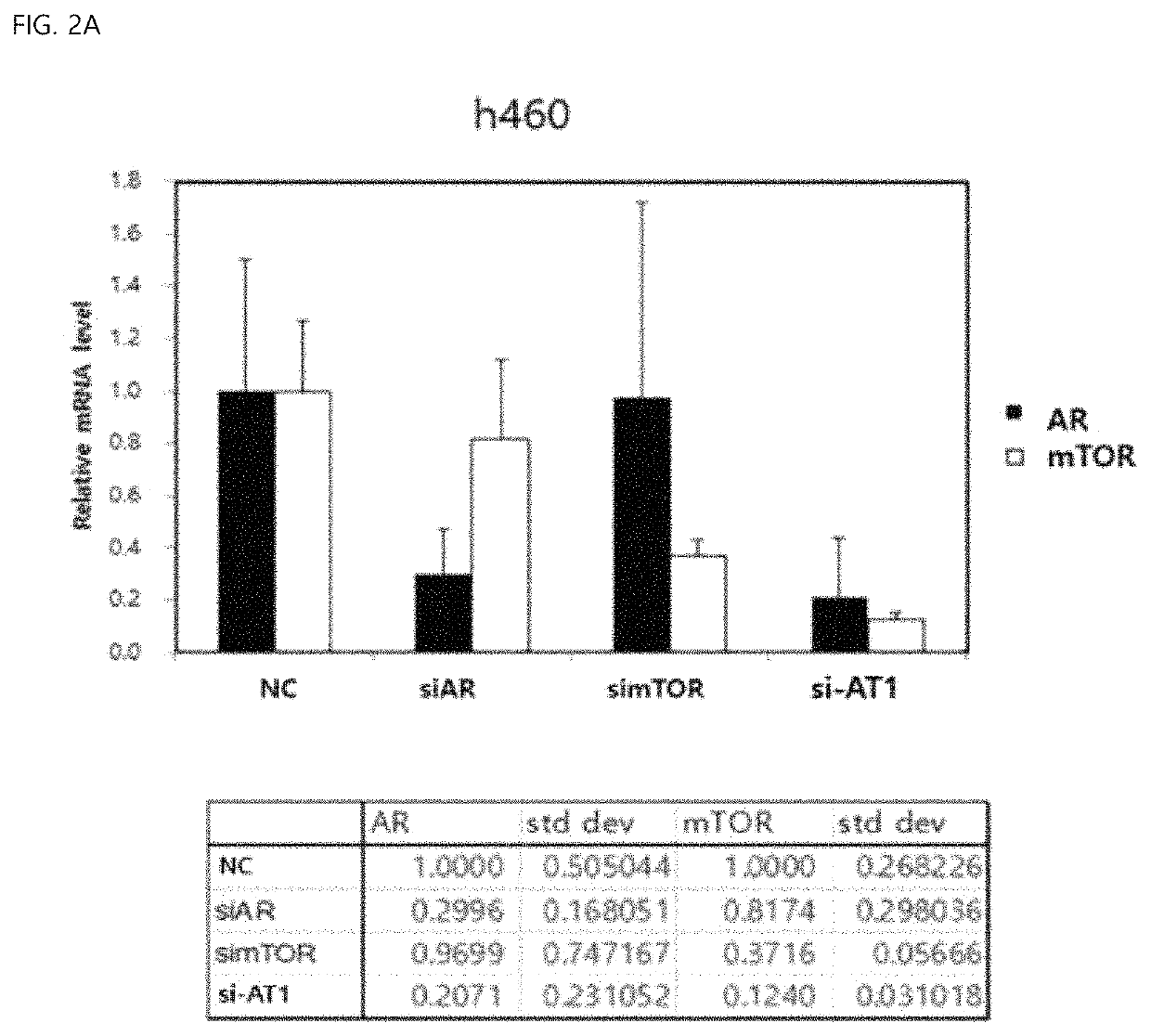 Nucleic acid simultaneously inhibiting expression of AR gene and mTOR gene