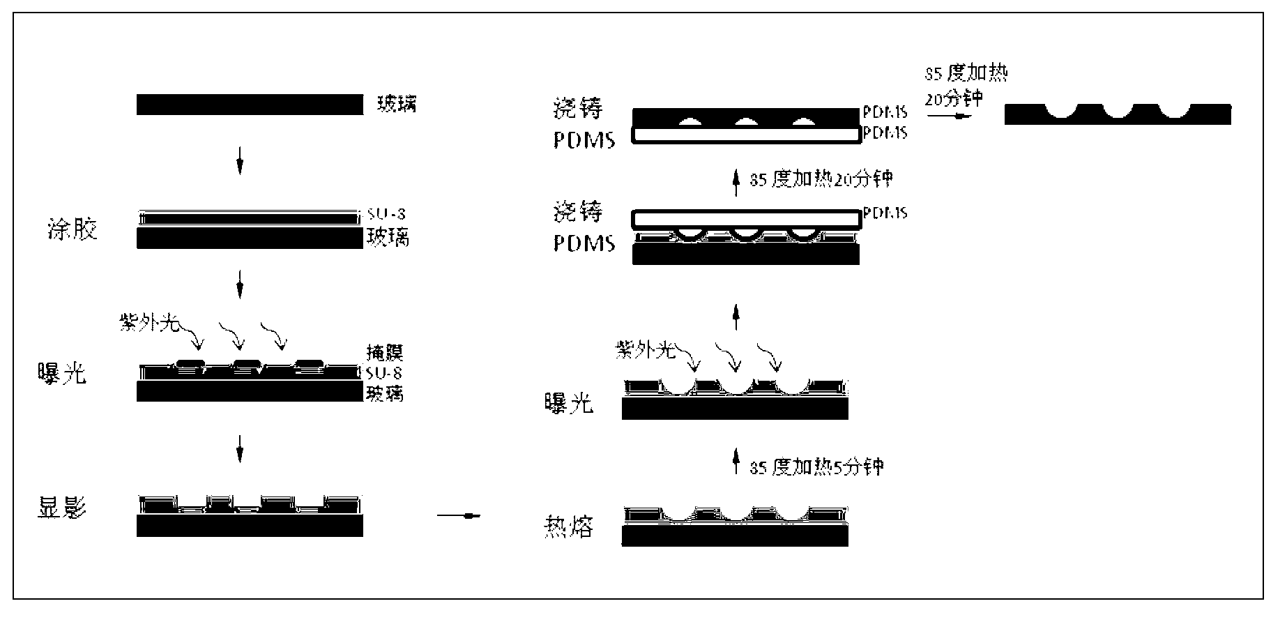 Preparation method and application of PDMS polymer chip of arc-shaped concave aperture