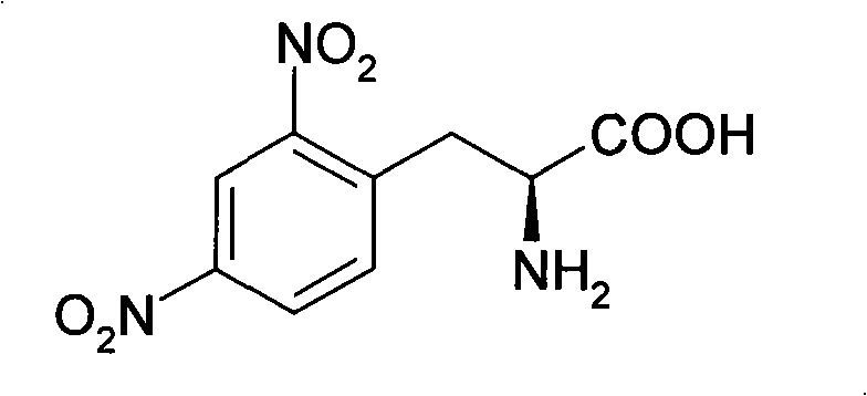 Process for synthesizing L-2,4-dinitrophenyl alanine
