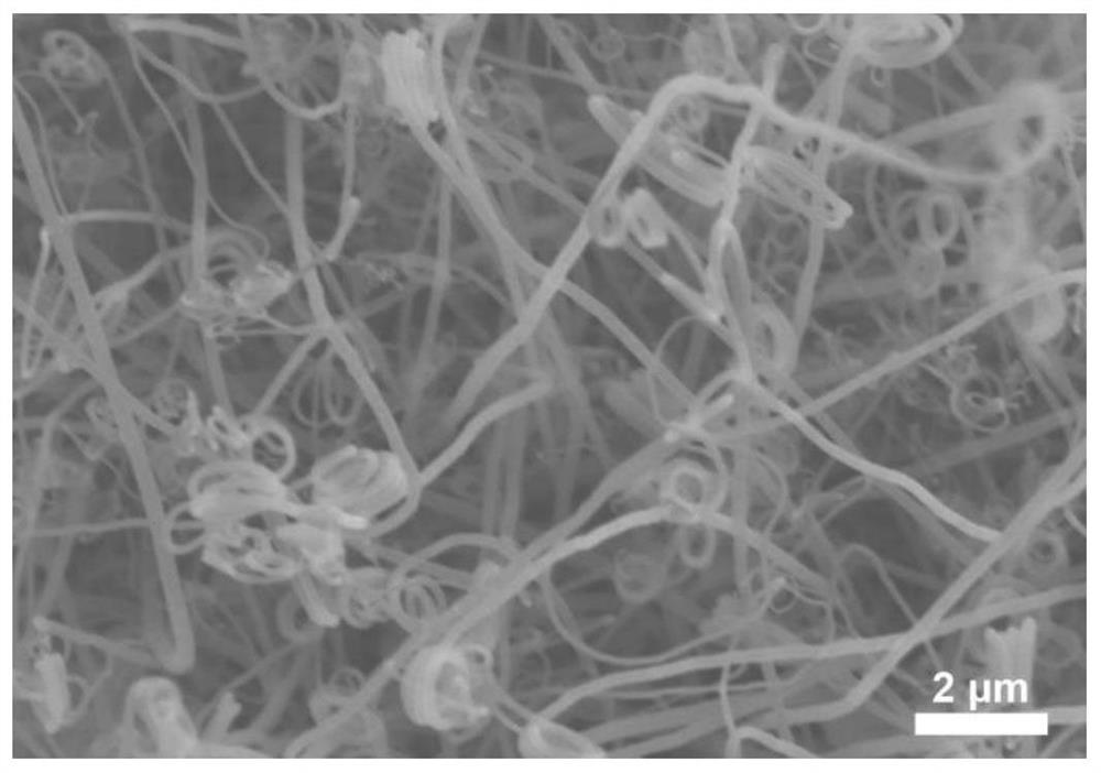 A kind of preparation method of textured carbon fiber cloth/carbon nanotube composite material