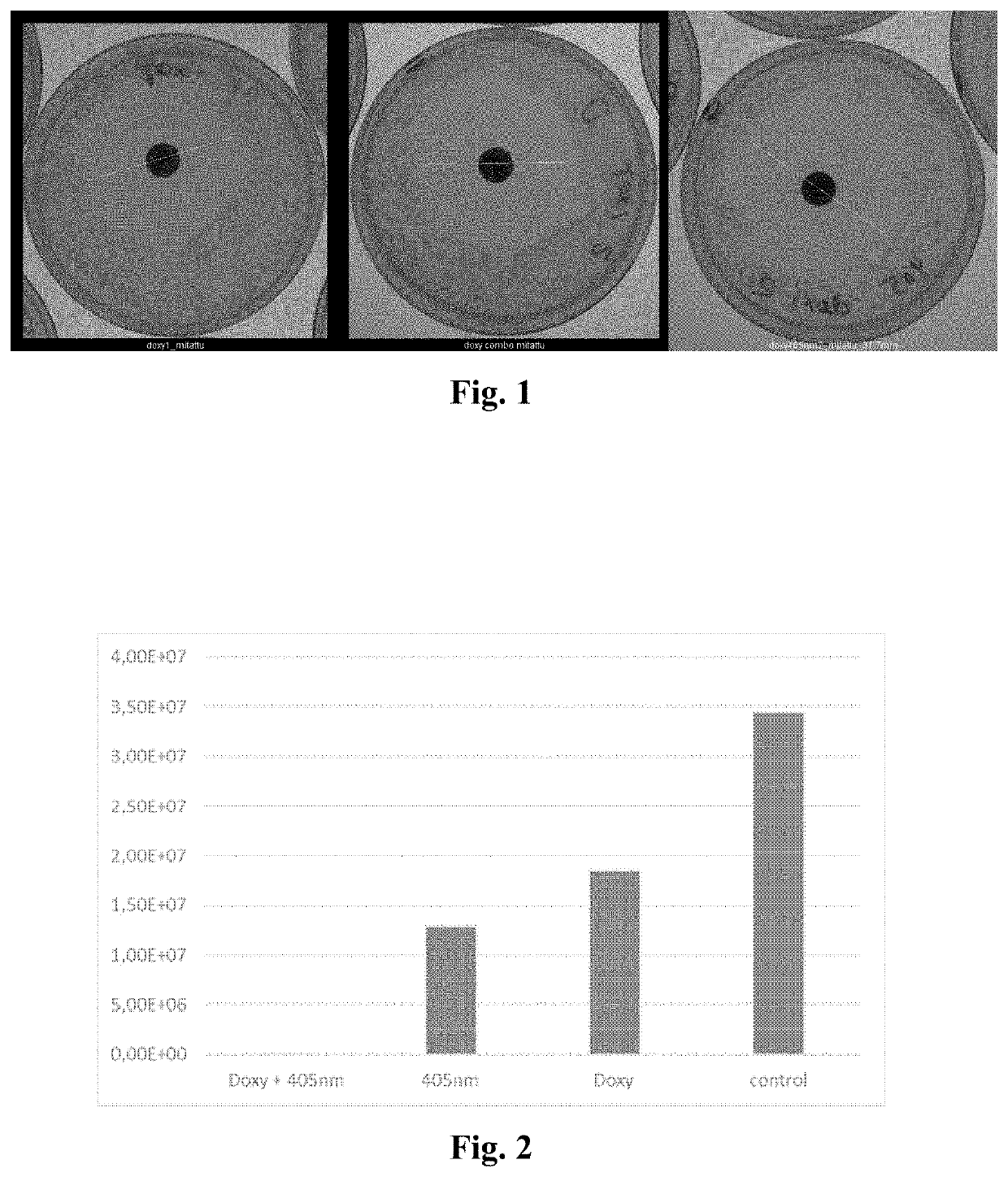 Method of enhancing the antimicrobial action of systemically administered antibiotics