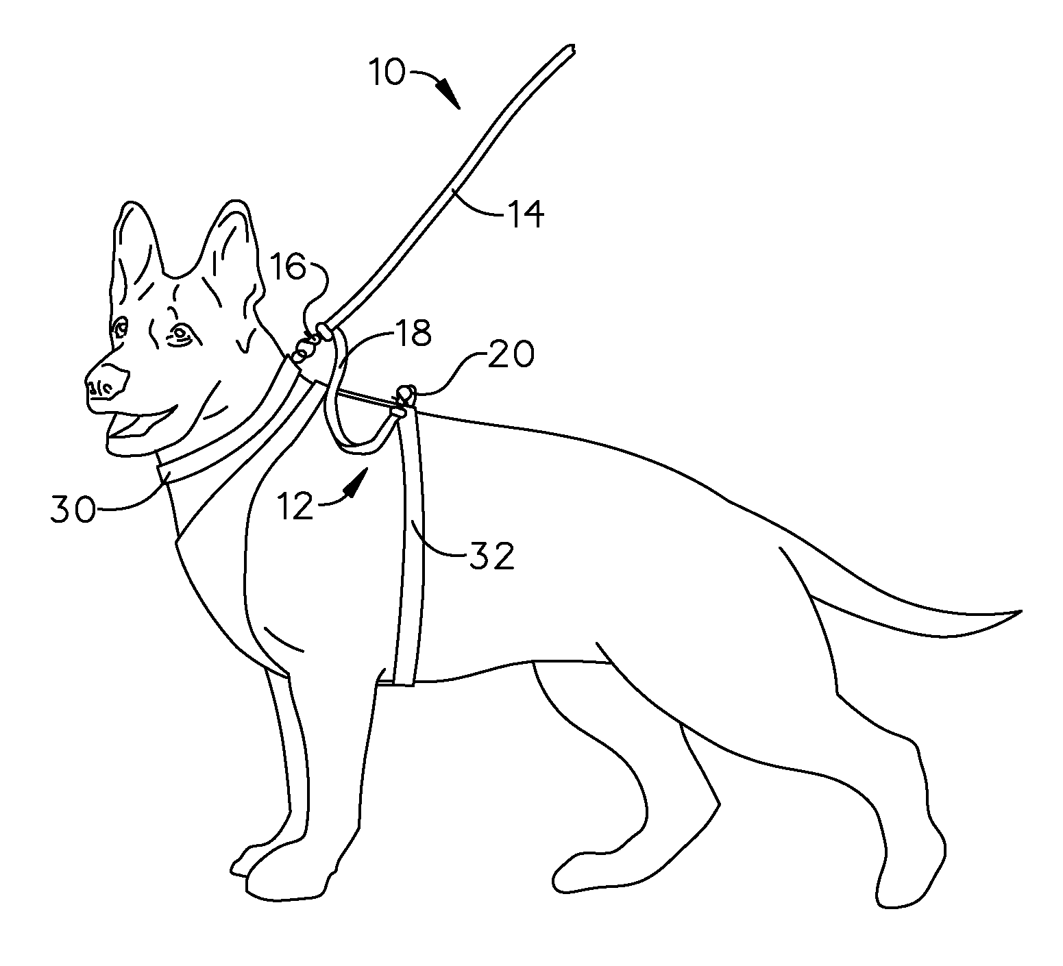 Pet leash with adjustable security extension