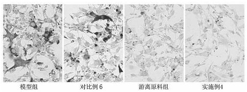 A kind of whitening composition and preparation method thereof
