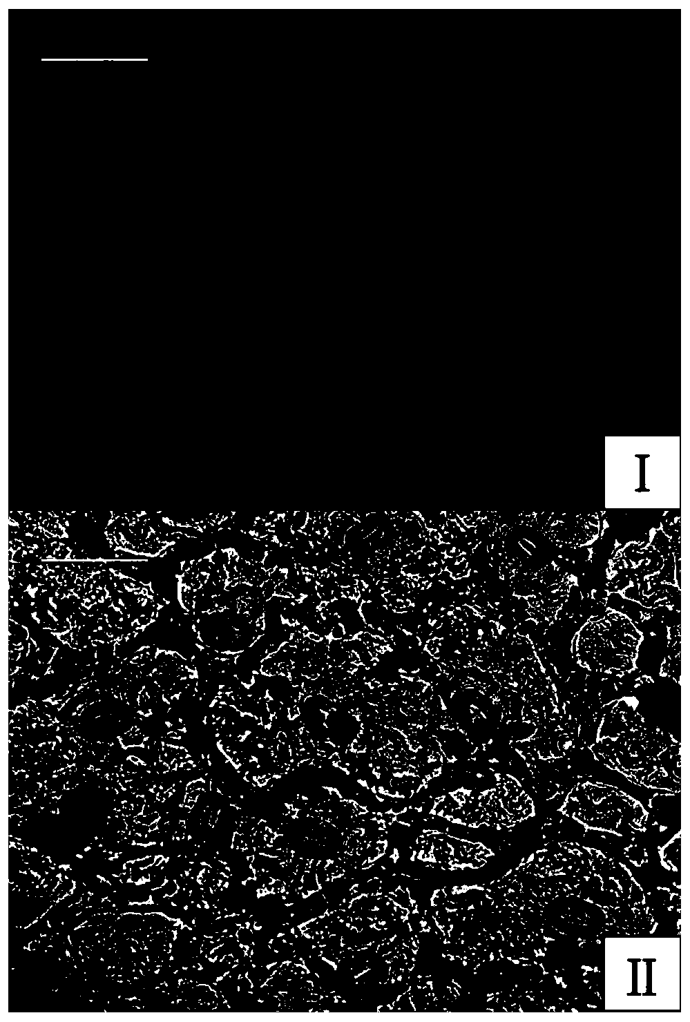 Method for screening new triploid germplasm from seedlings of white flesh loquat