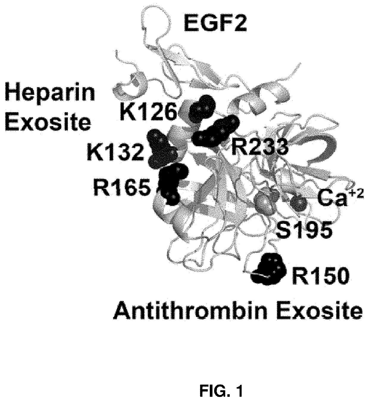 Factor ix variants and methods of use therefor