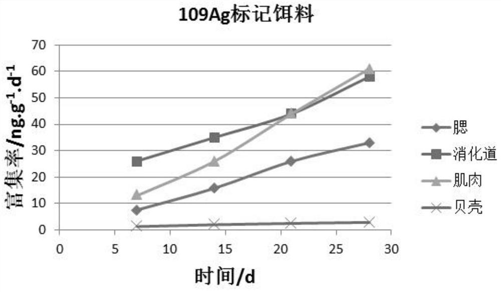 A method for tracing the enrichment pathway of heavy metals in bivalve molluscs