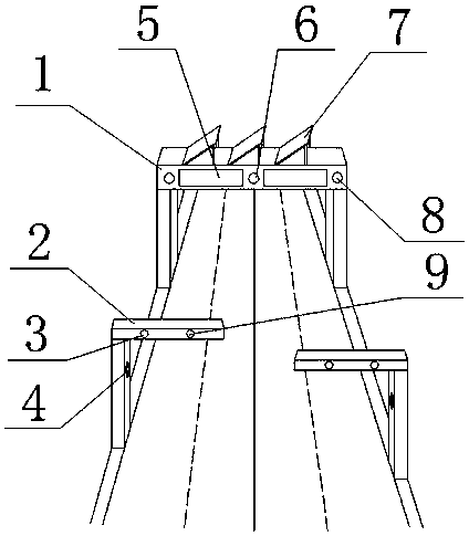 Width and height limiting device of road