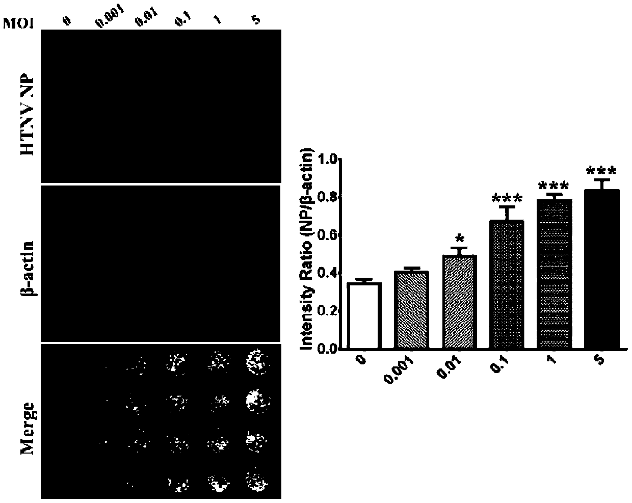 A high-throughput method for rapid detection of Hantaan virus neutralizing antibody titer