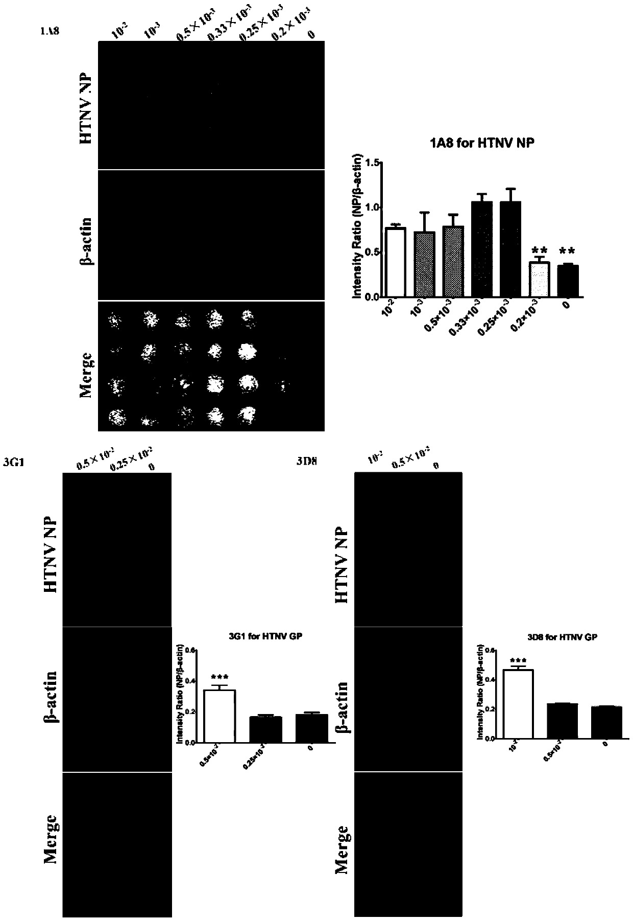 A high-throughput method for rapid detection of Hantaan virus neutralizing antibody titer