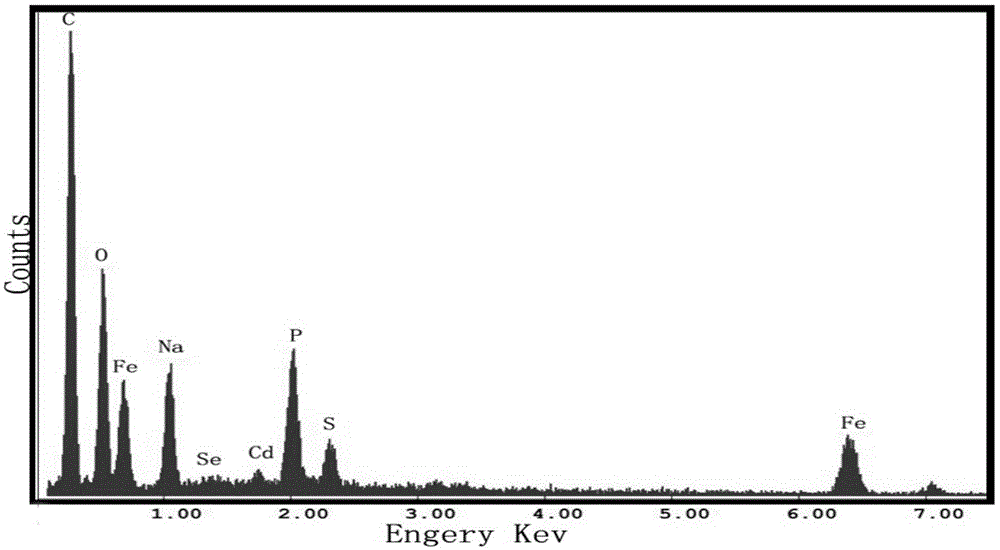 Preparation of magnetic fluorescent bifunctional microspheres by connecting polyaniline magnetic microspheres with fluorescent quantum dots