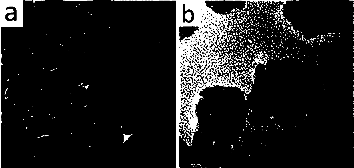 A kind of preparation method and application of ptpdcu electrocatalyst for fuel cell