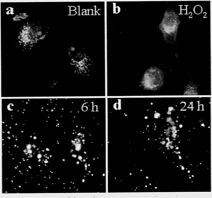 Method for preparing monodispersed alpha-Fe2O3 nanoparticles