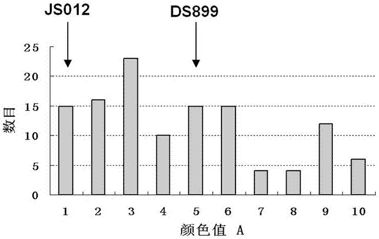 A SNP Molecular Marker Tightly Linked to Sesame Seed Coat Color Gene