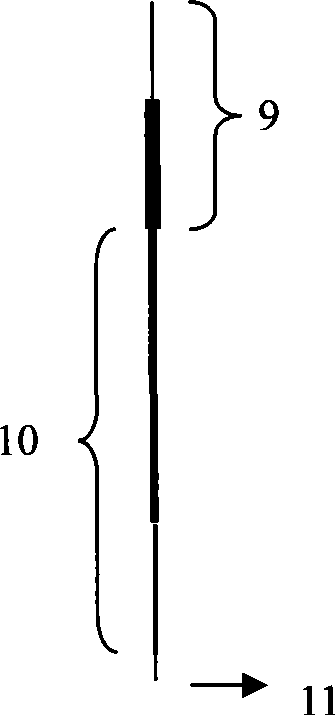 Electronic informatics measuring method and device for human channels and collaterals