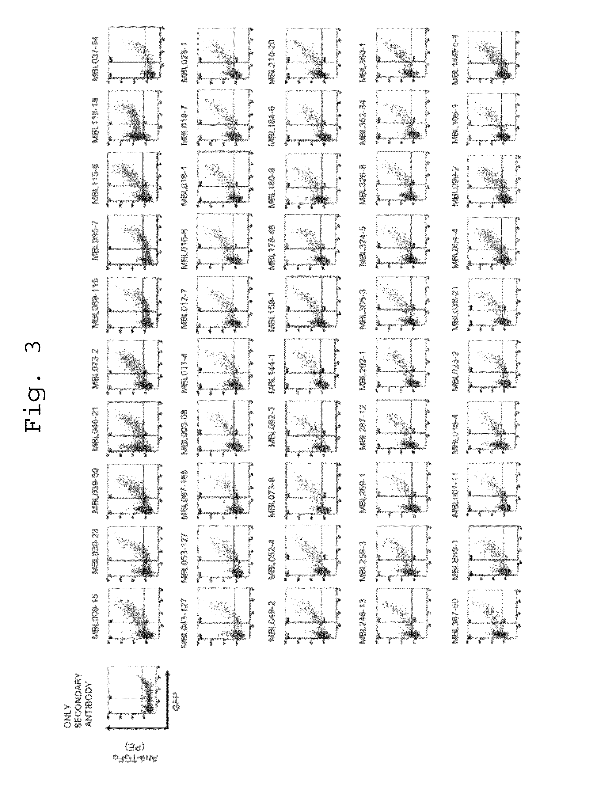 Antibody being capable of binding to transforming growth factor alpha and having growth-suppressing activity on cancers having Ras gene mutation