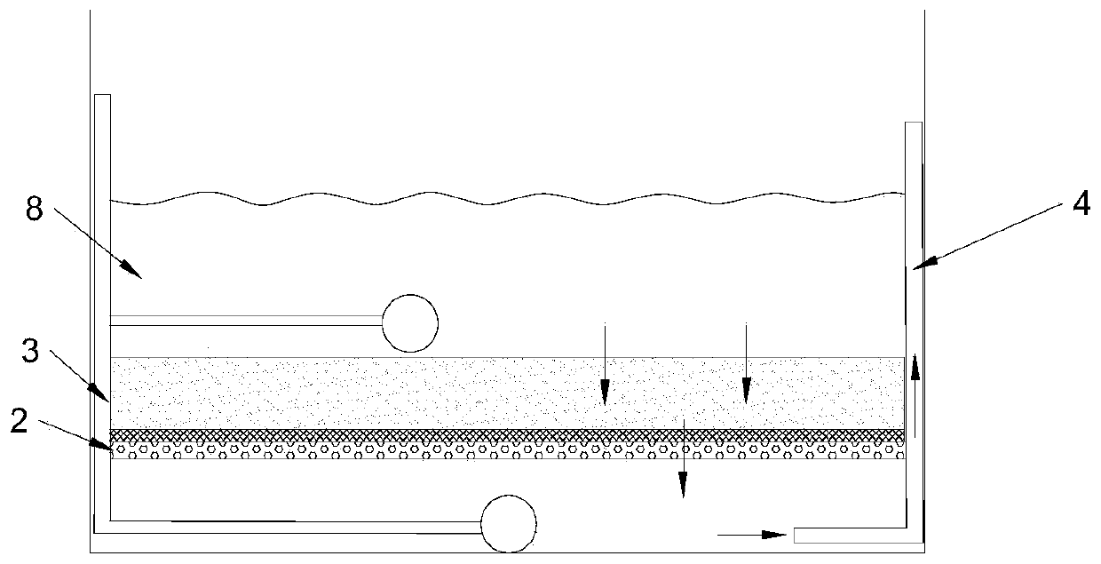 Filter bed breeding system and factory breeding method of buried-dwelling marine organisms