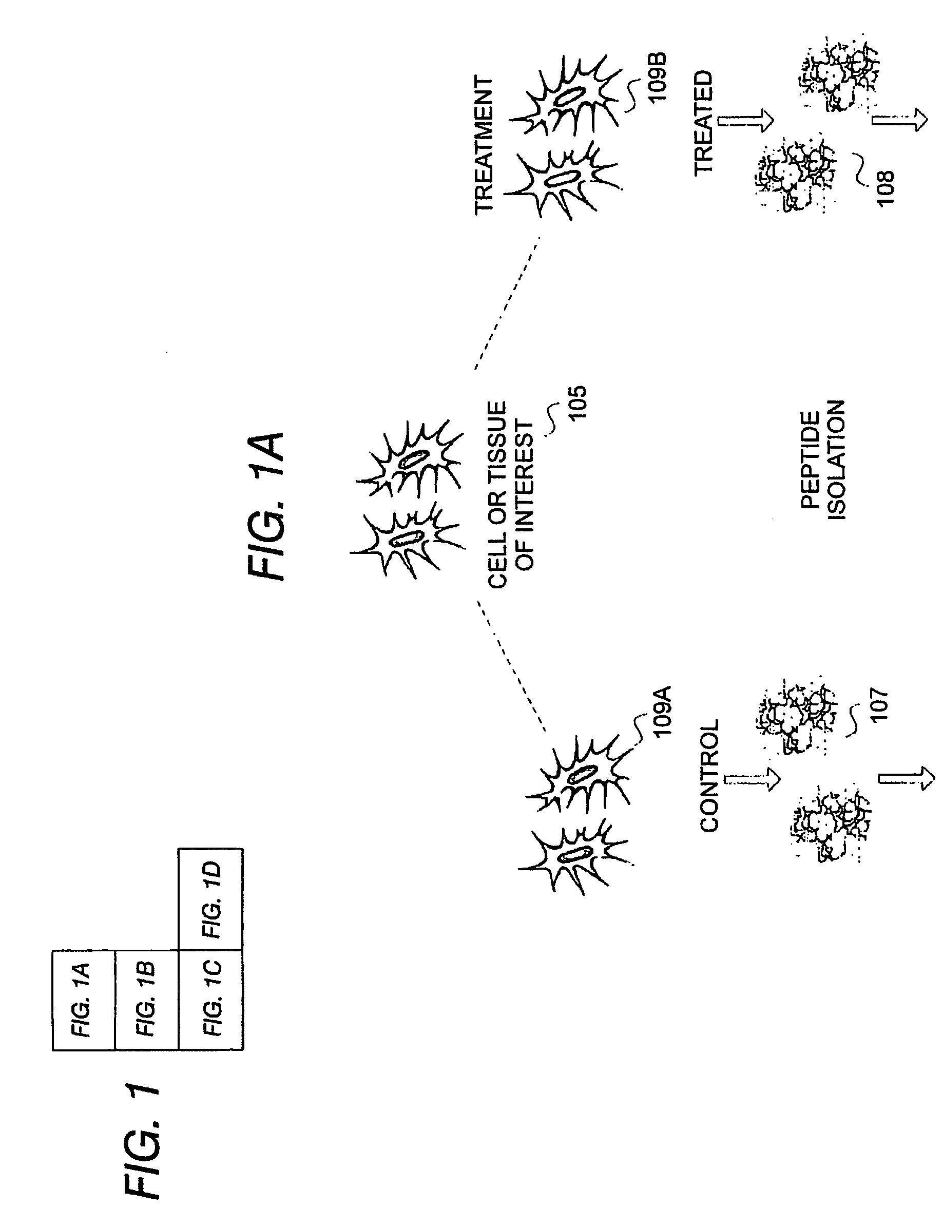 System and method of determining proteomic differences