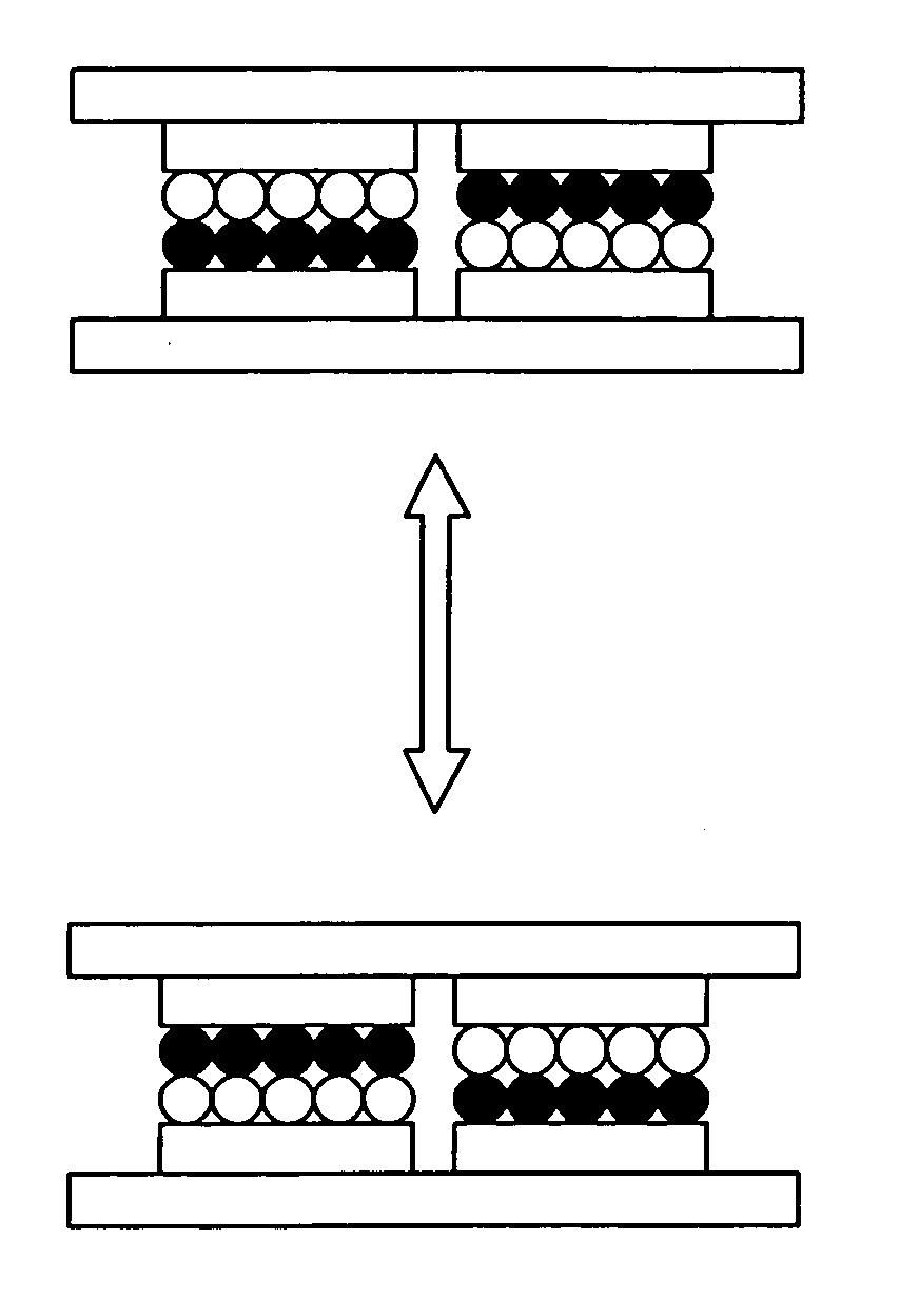 Particle for image display and its apparatus