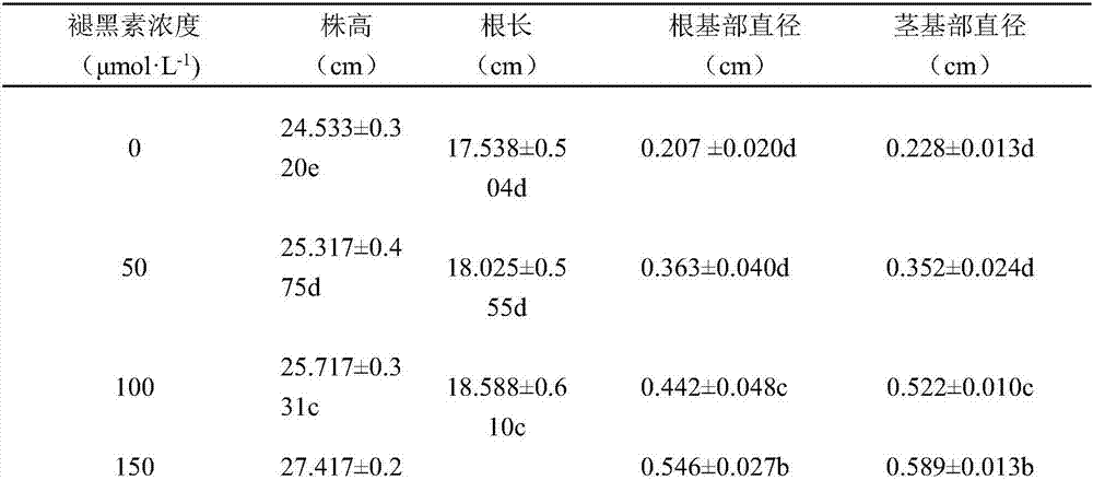 Method for promoting pea seedling growth and reducing cadmium accumulation