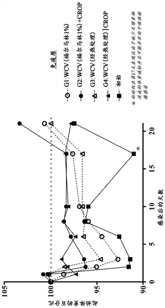 Clostridium difficile multi-component vaccine