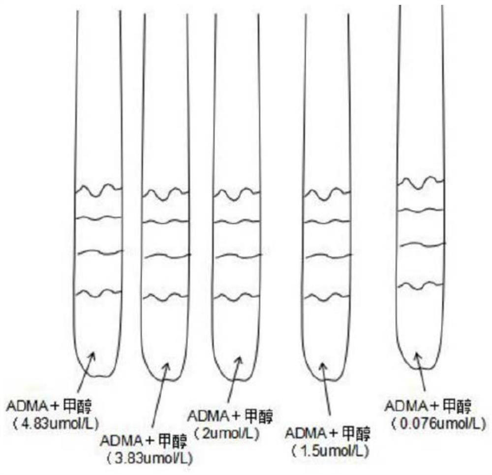 High-efficiency detection method for asymmetric dimethylarginine