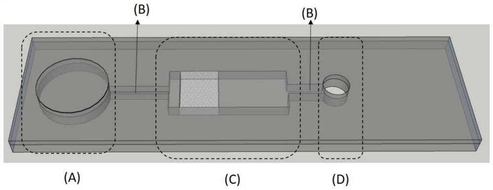 Micro-fluidic chip device for biogenic amine detection and application