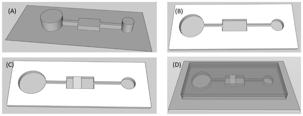 Micro-fluidic chip device for biogenic amine detection and application
