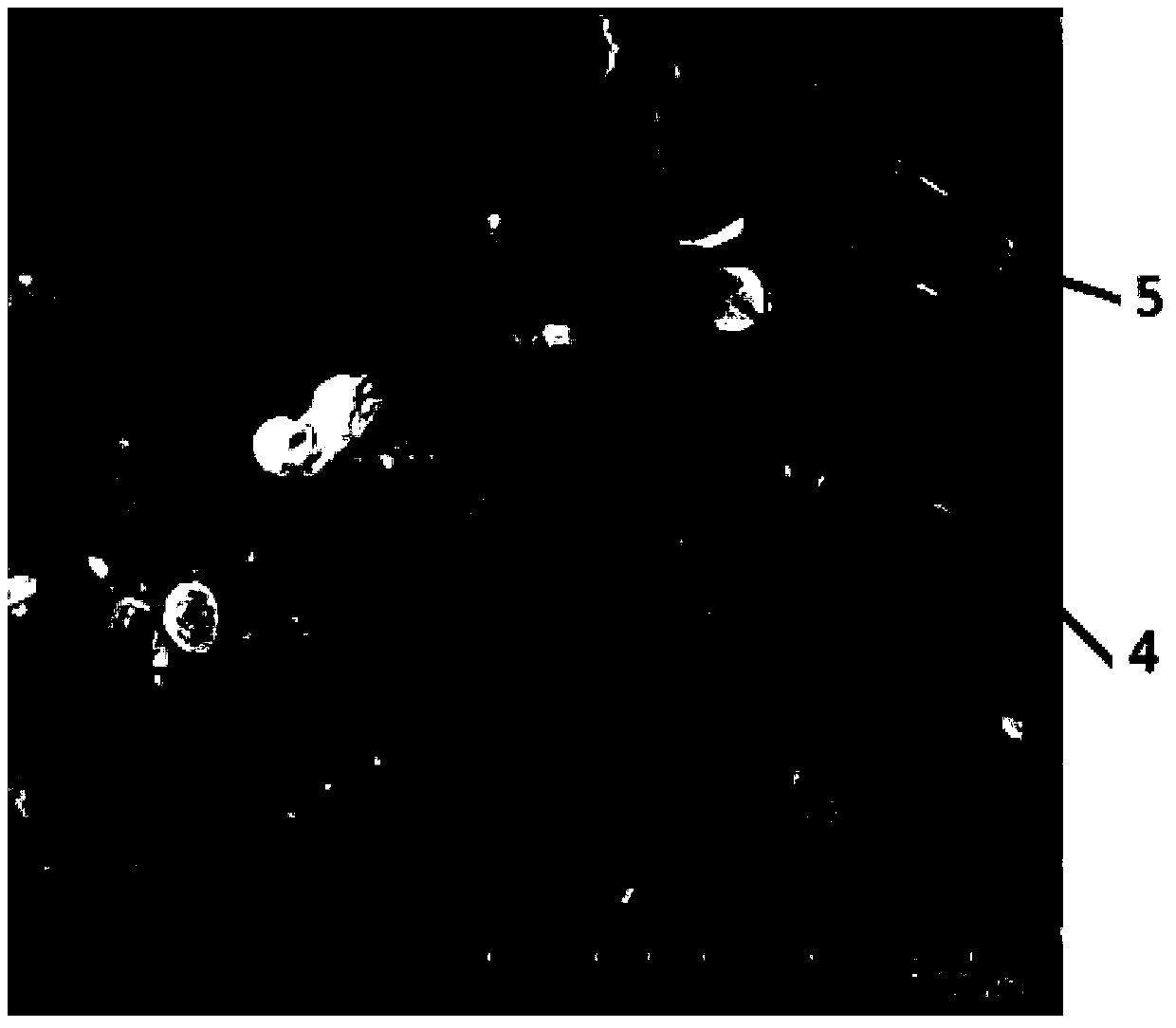 Fingerprint-resistant metal powder coating with chromium plating effect and preparation method thereof