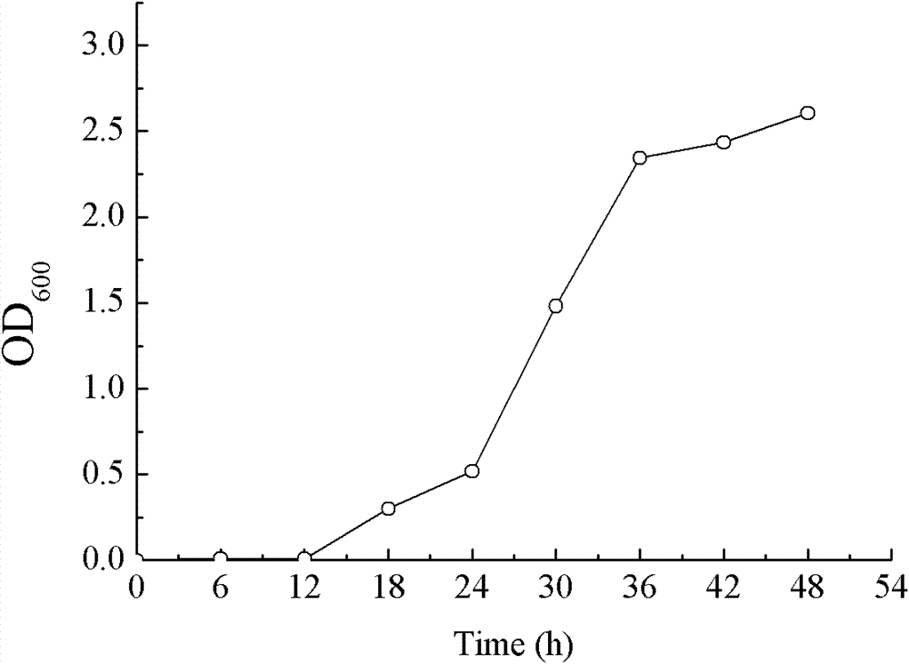 Yeast strain for producing biosurfactant and application thereof