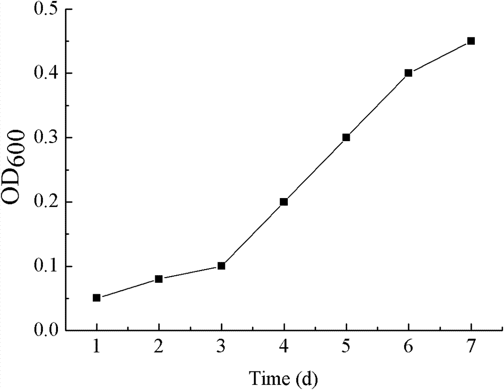 Yeast strain for producing biosurfactant and application thereof