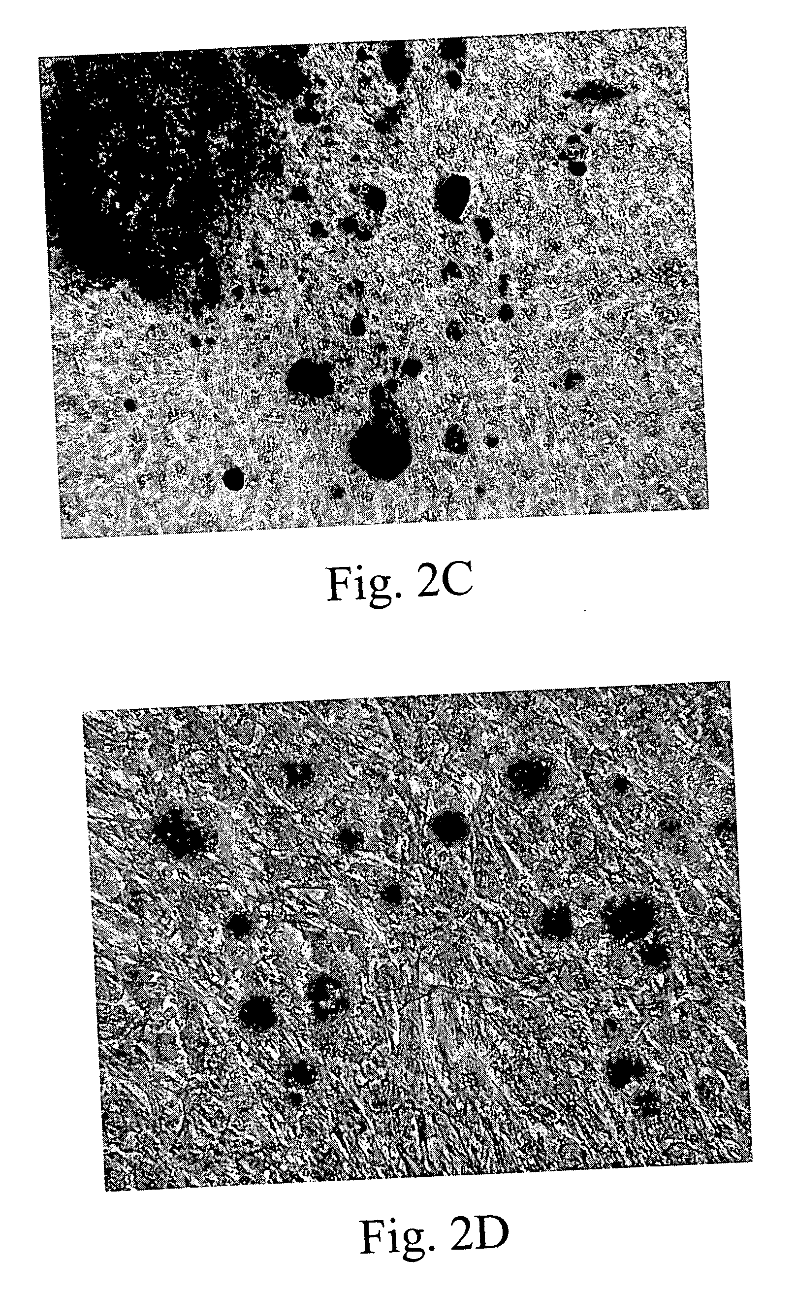 Placental stem cell and methods thereof