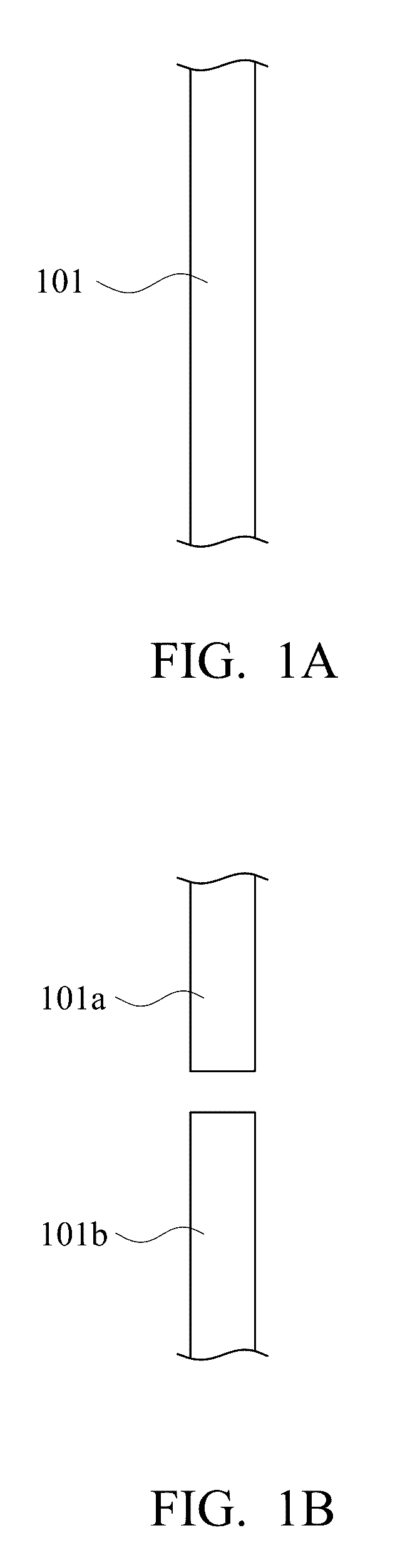 Tissue regeneration membrane for repair and regeneration of peripheral nerve