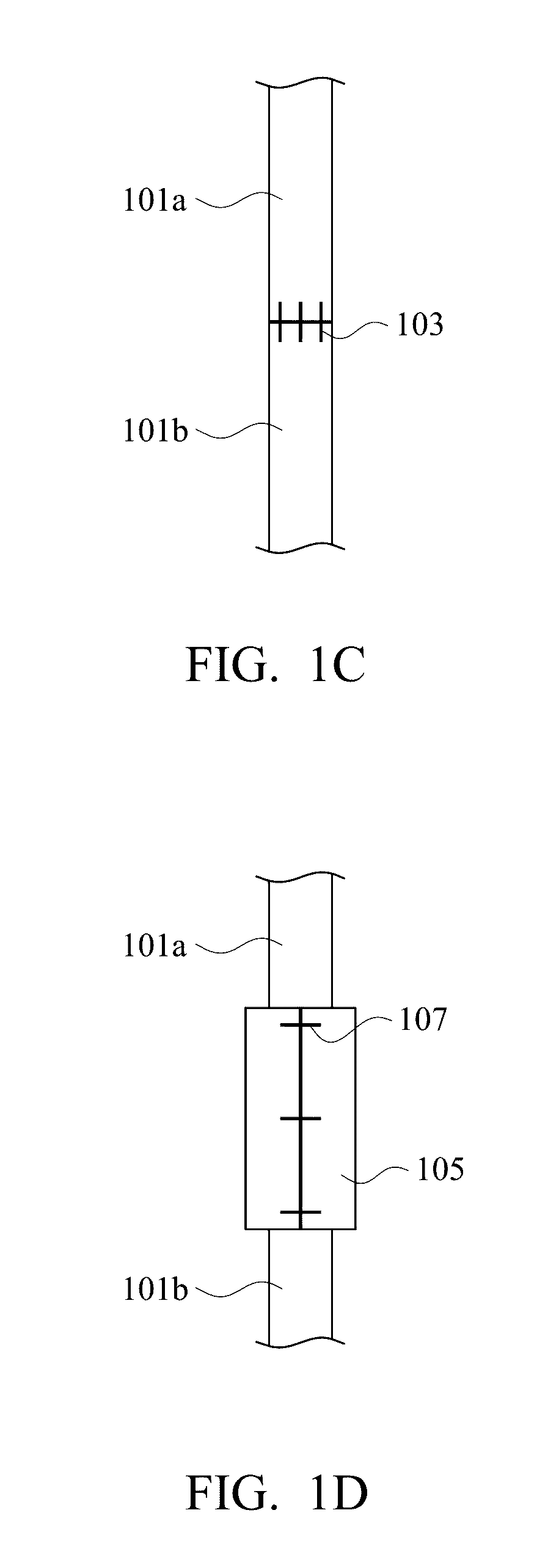 Tissue regeneration membrane for repair and regeneration of peripheral nerve