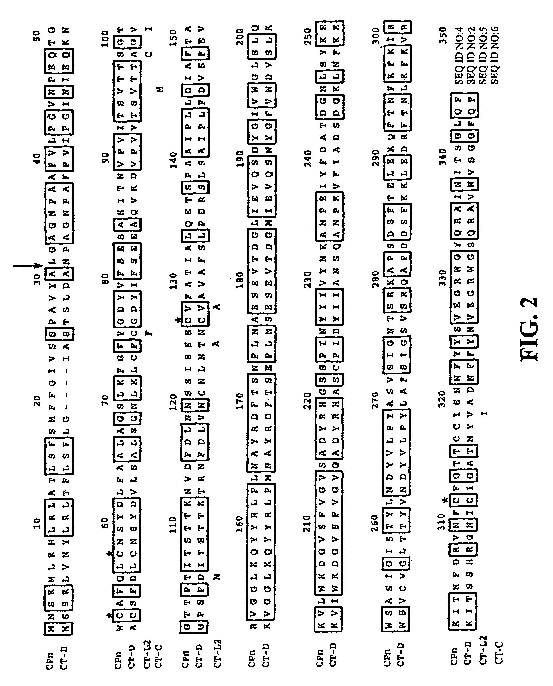 Porin B (PorB) as a therapeutic target for prevention and treatment of infection by <i>Chlamydia</i>