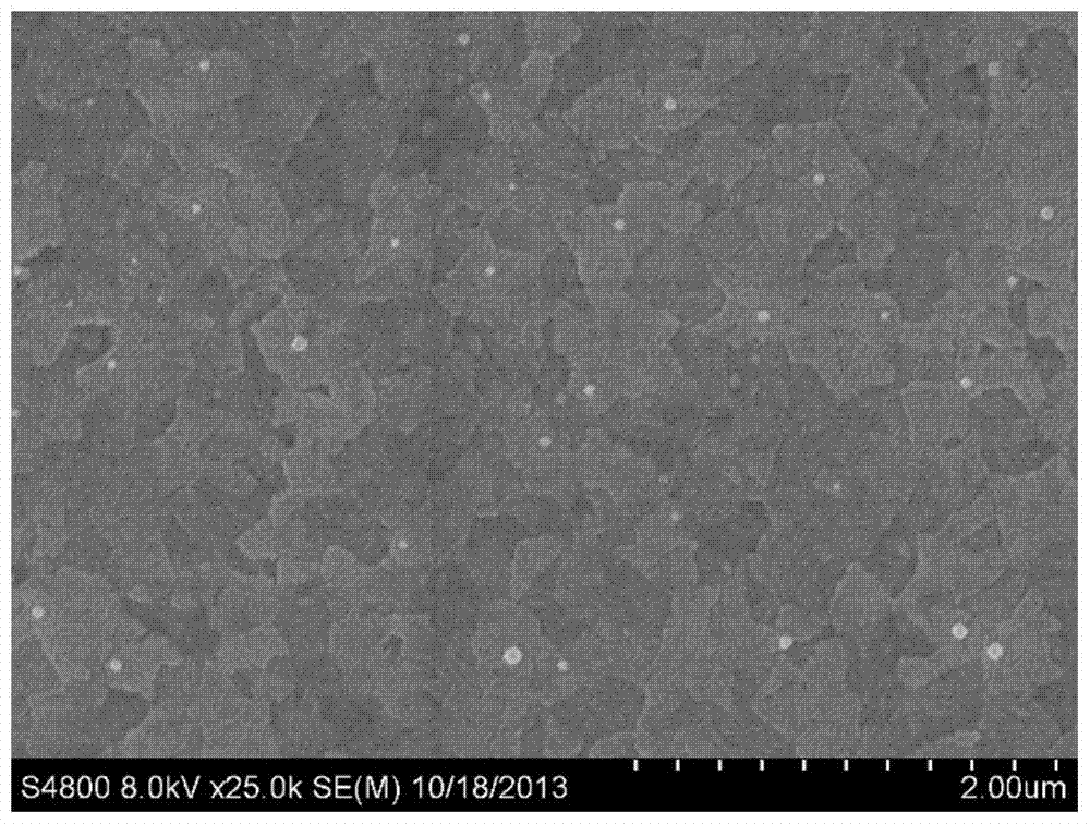 A kind of preparation method and product of vitamin C-coated copper-zinc-tin-sulfur nanoparticles