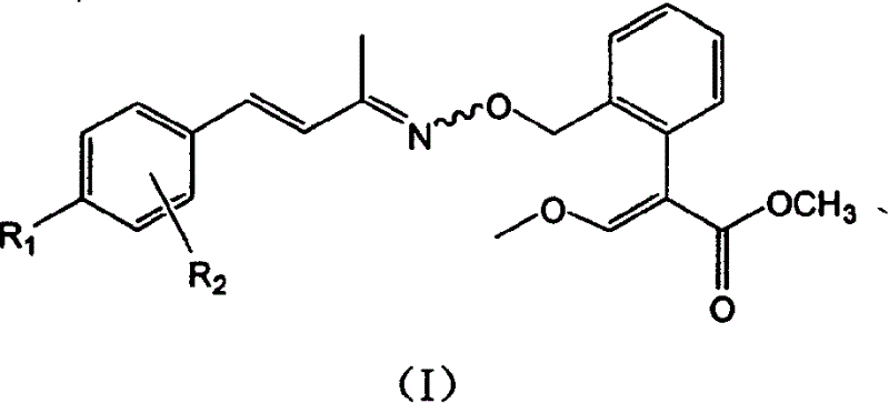 Unsaturated oximino ether compound with fungicidal, insecticidal activity