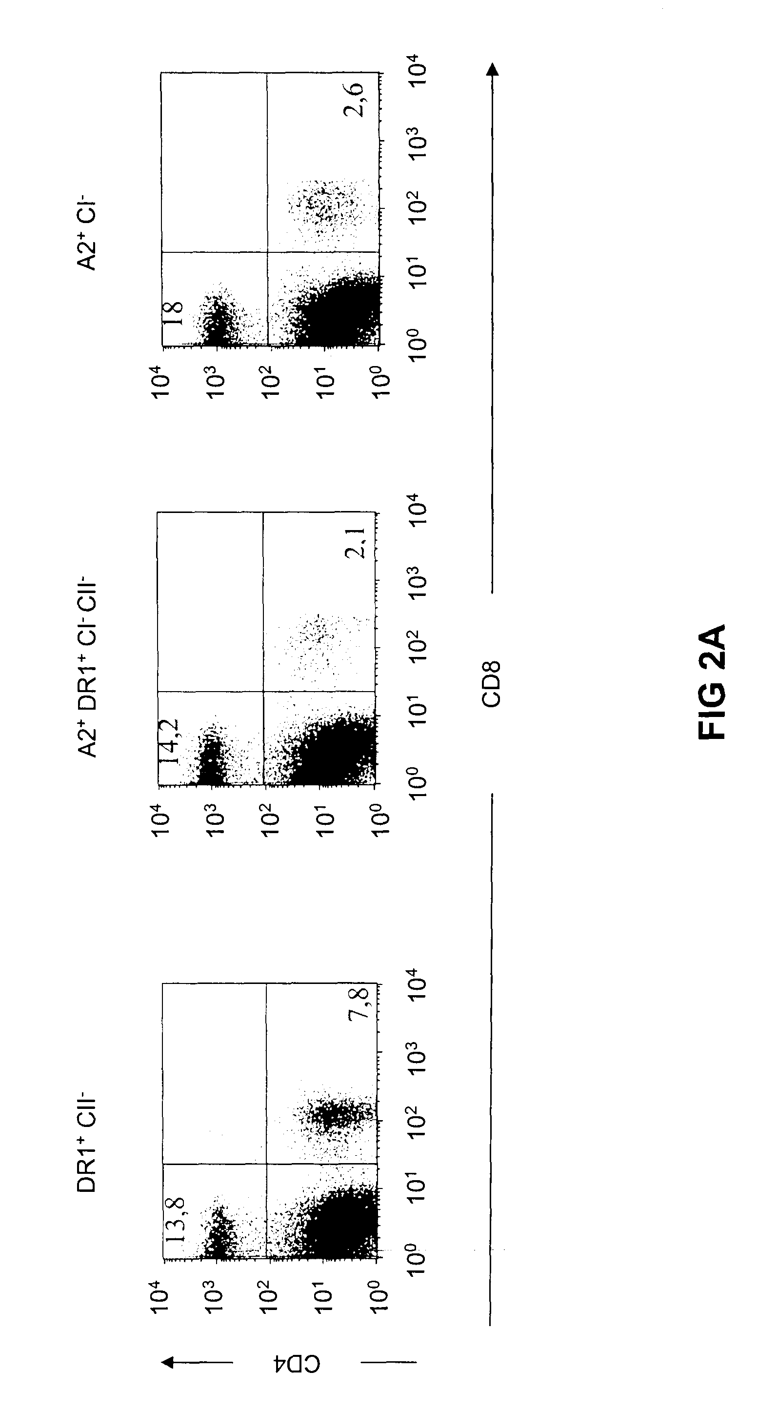 Transgenic mice having a human major histocompatibility complex (MHC) phenotype, experimental uses and applications