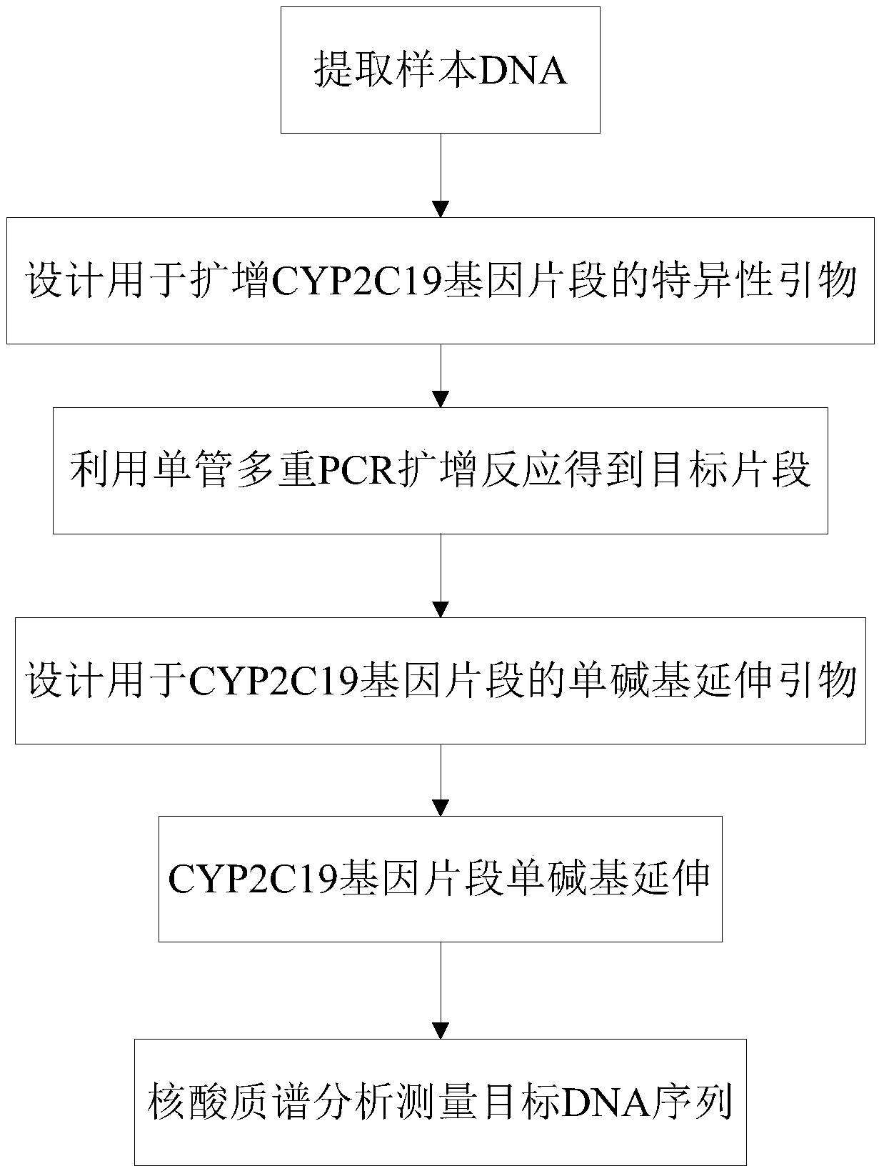 CYP2C19 gene detecting method and detecting kit