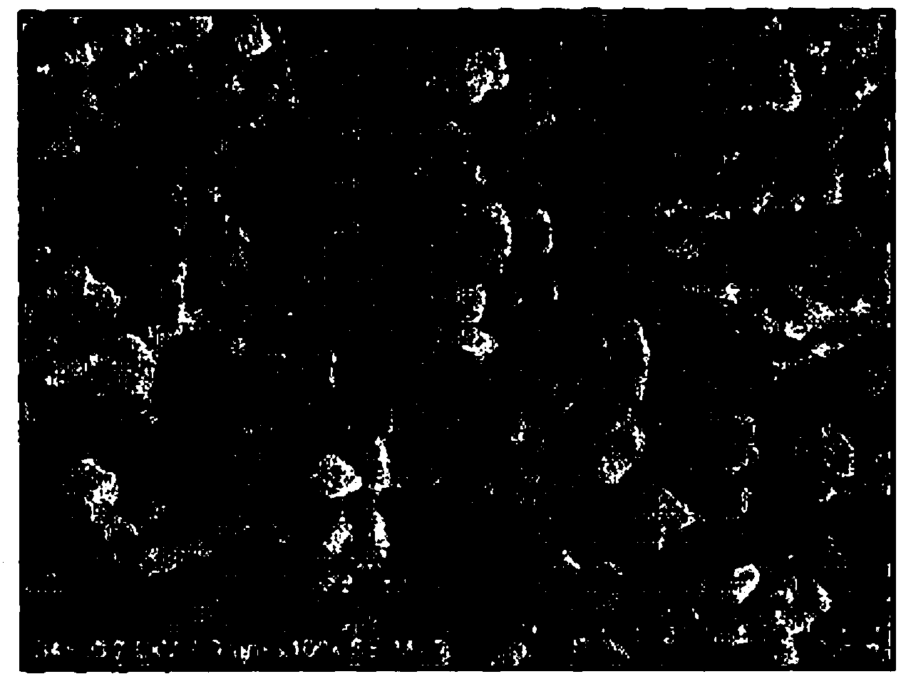 Pigment dispersion and yellow resist composition for color filter and ink composition containing the pigment dispersion