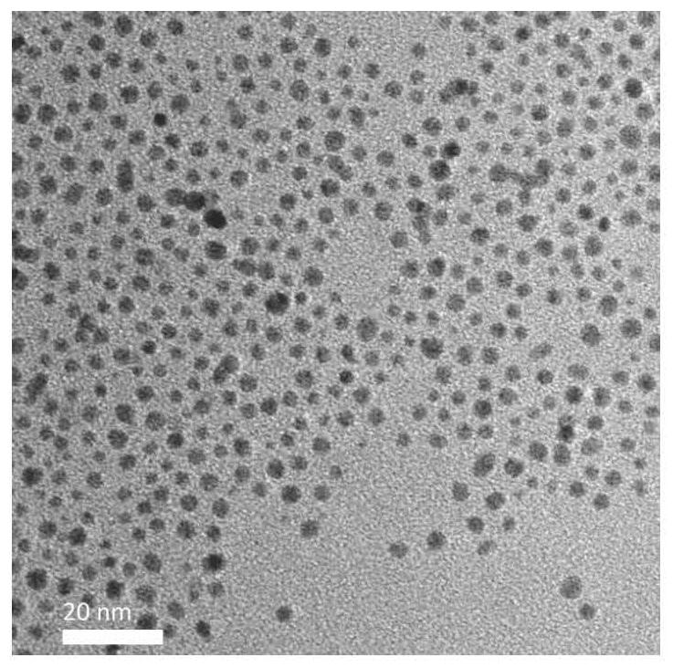 Noble metal nanoparticles modified by small drug molecules, preparation method and application thereof