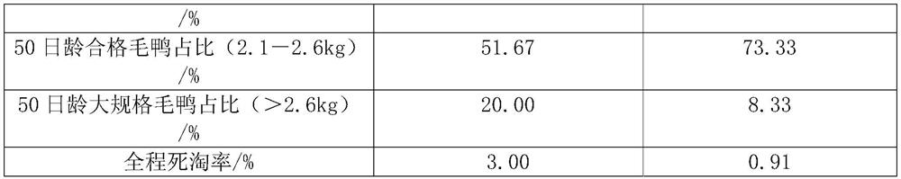 Compound feed for big meat ducks and capable of reducing proportion of weak ducks under limited feeding condition