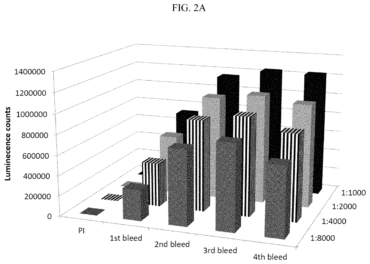 Antibodies for detection of colistin-resistance