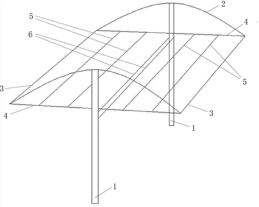 Grape canopy frame and cultivation method