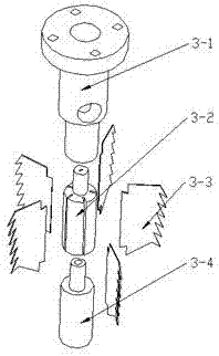 A squid processing head and whisker separating device